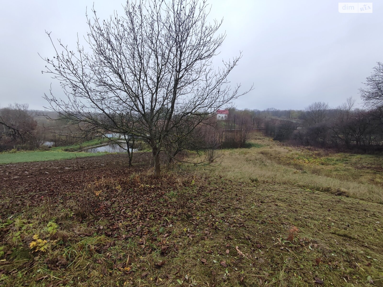 Земельный участок под жилую застройку в Зарванцах, площадь 60 соток фото 1