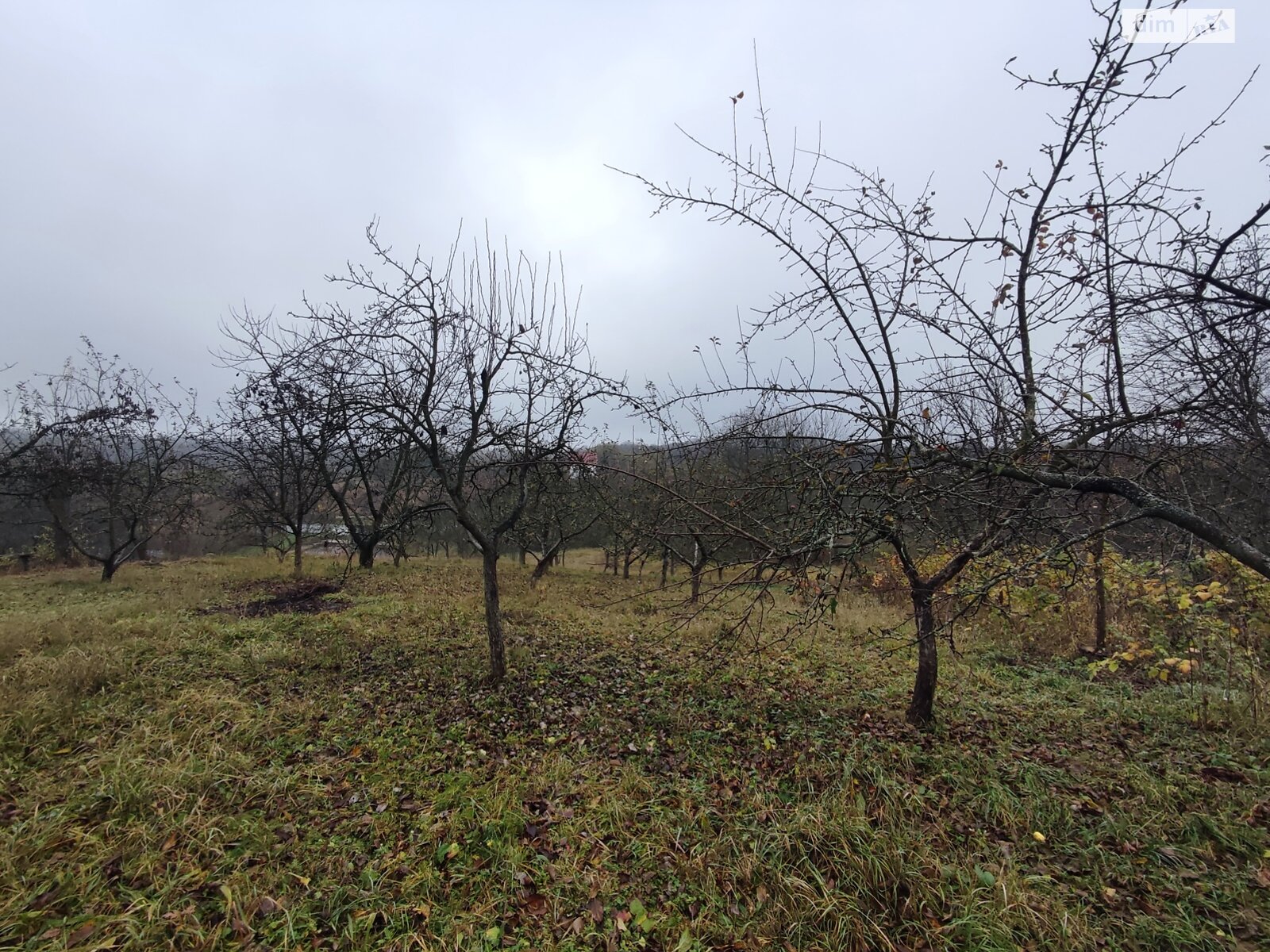 Земельный участок под жилую застройку в Зарванцах, площадь 60 соток фото 1