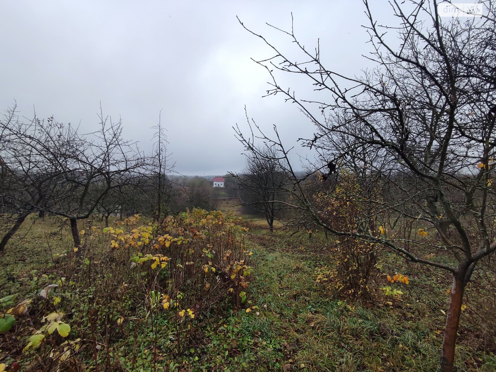 Земельный участок под жилую застройку в Зарванцах, площадь 60 соток фото 1