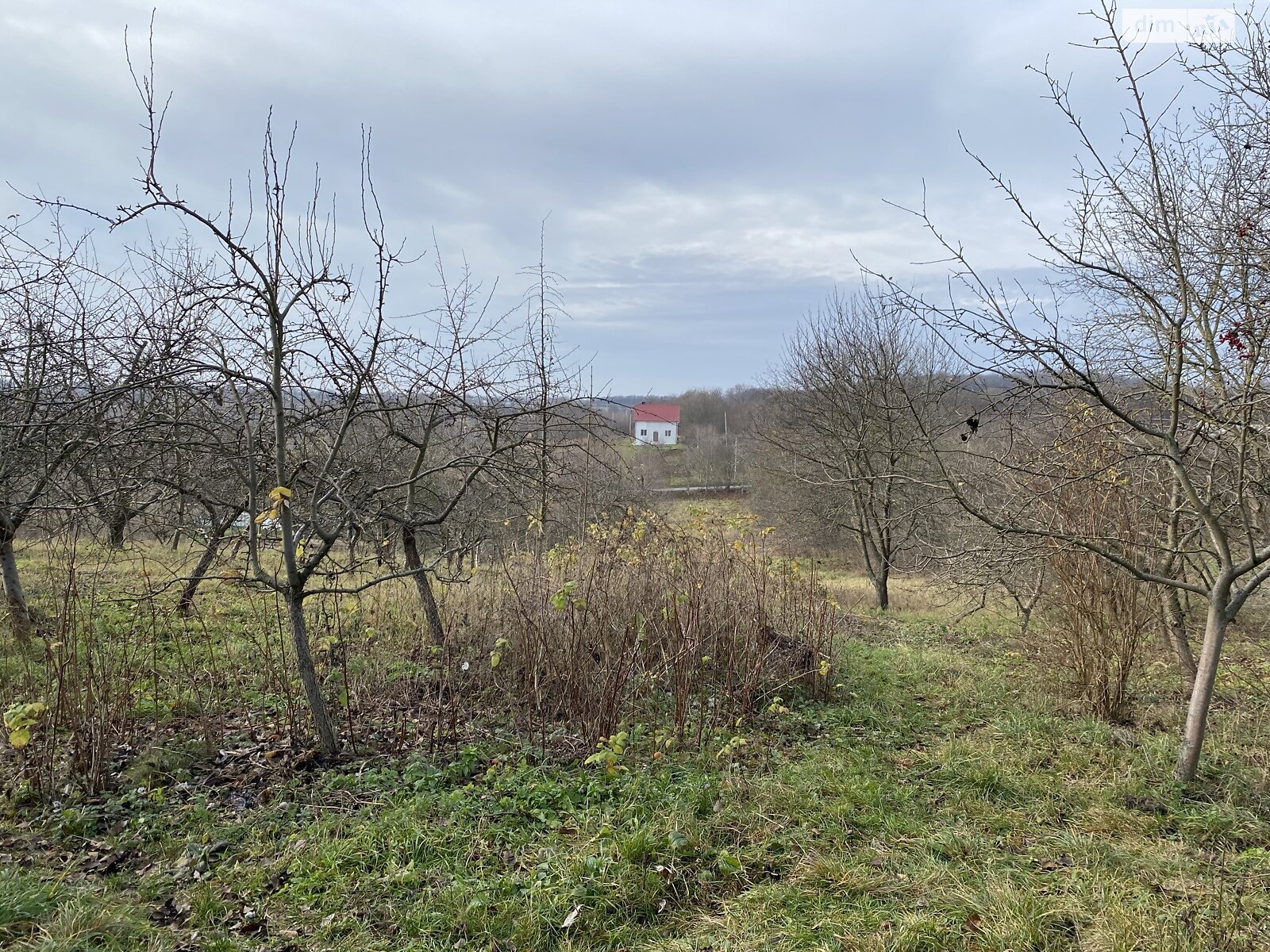Земельный участок под жилую застройку в Зарванцах, площадь 60 соток фото 1