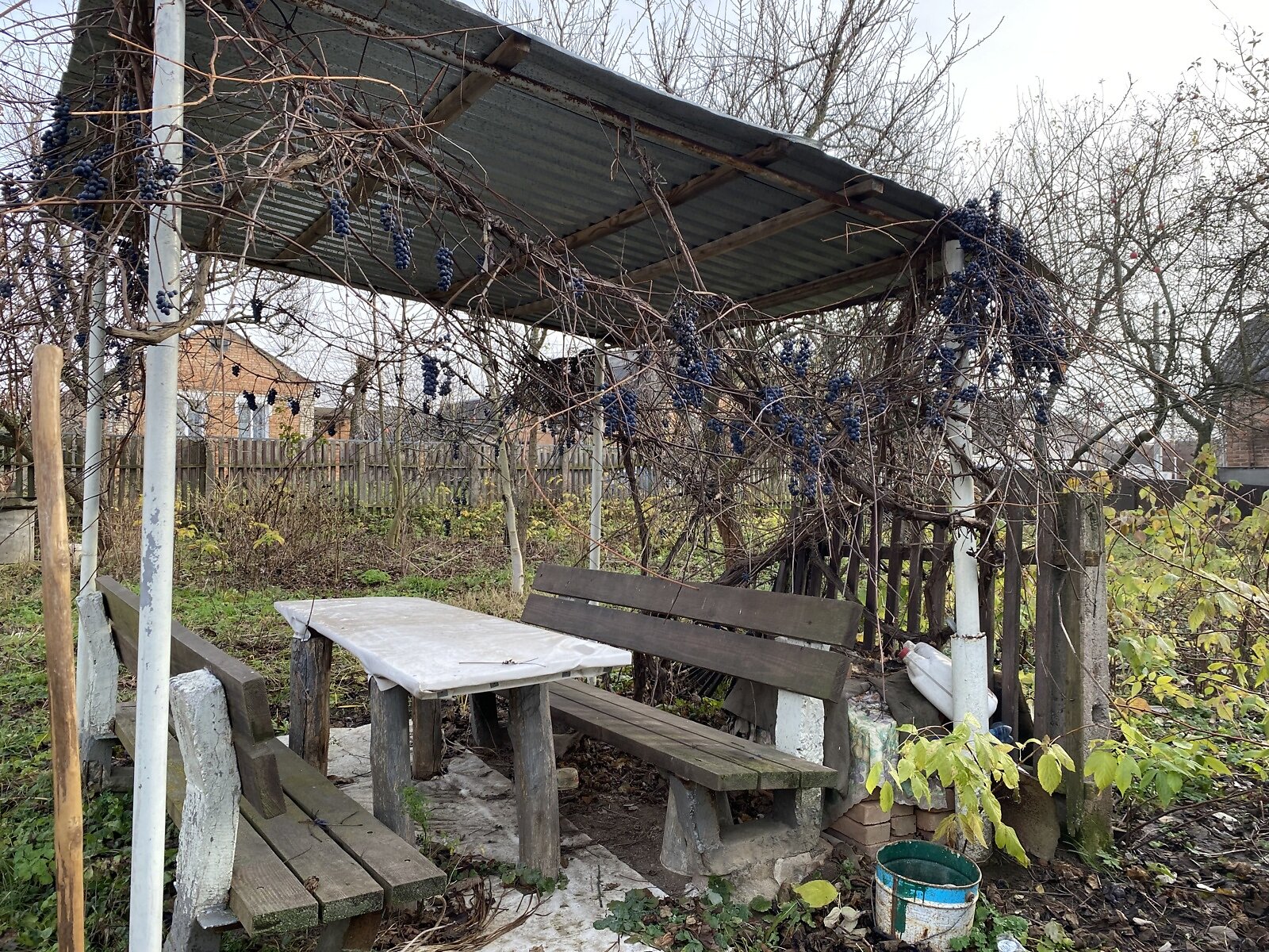 Земельный участок под жилую застройку в Зарванцах, площадь 60 соток фото 1