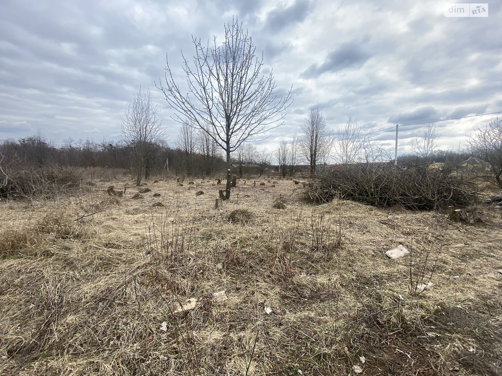 Земельна ділянка під житлову забудову в Зарванцях, площа 27 соток фото 1 Земельна ділянка під житлову забудову в Зарванцях, площа 27 соток фото 1