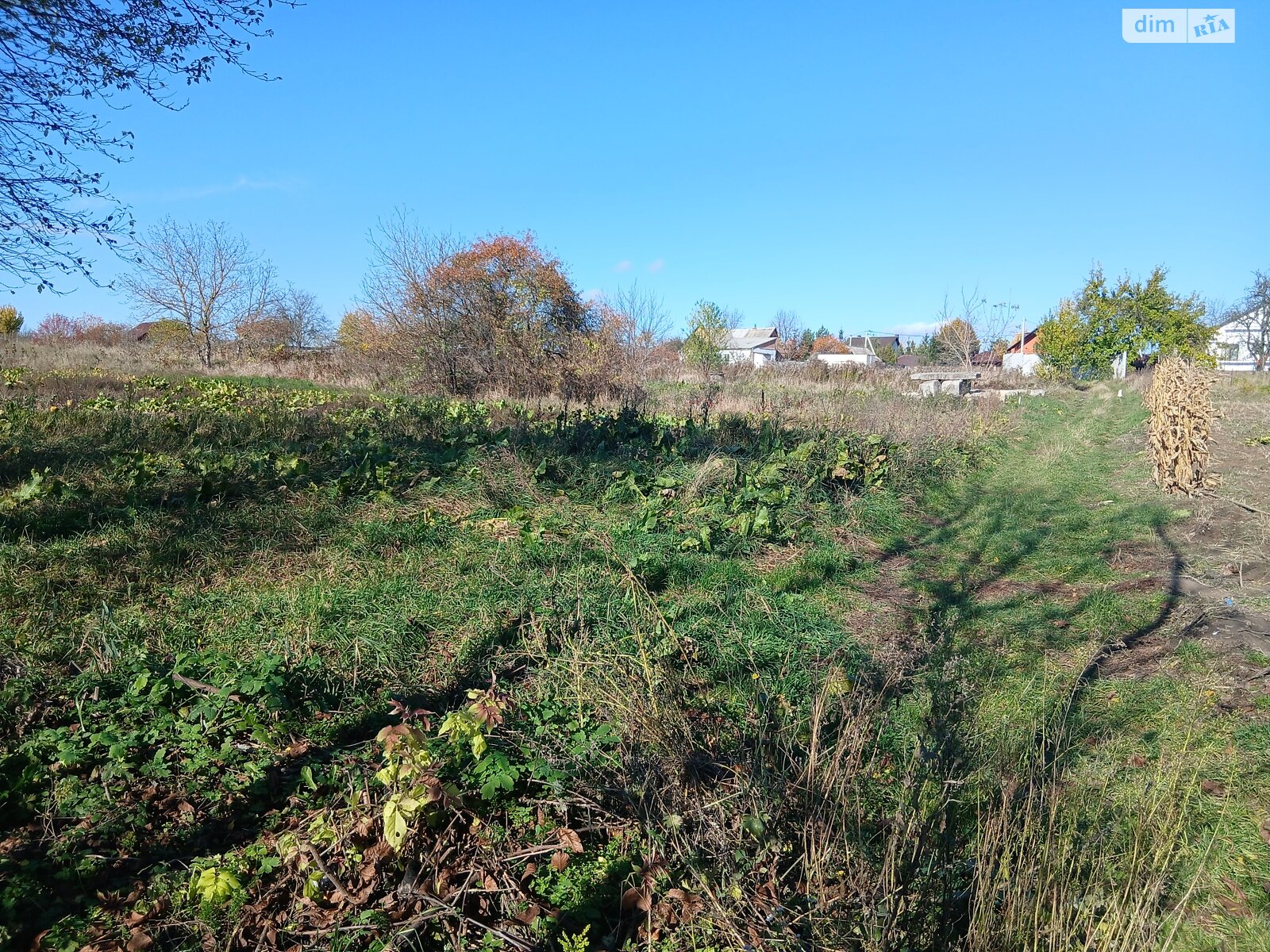 Земельный участок под жилую застройку в Зарванцах, площадь 20 соток фото 1