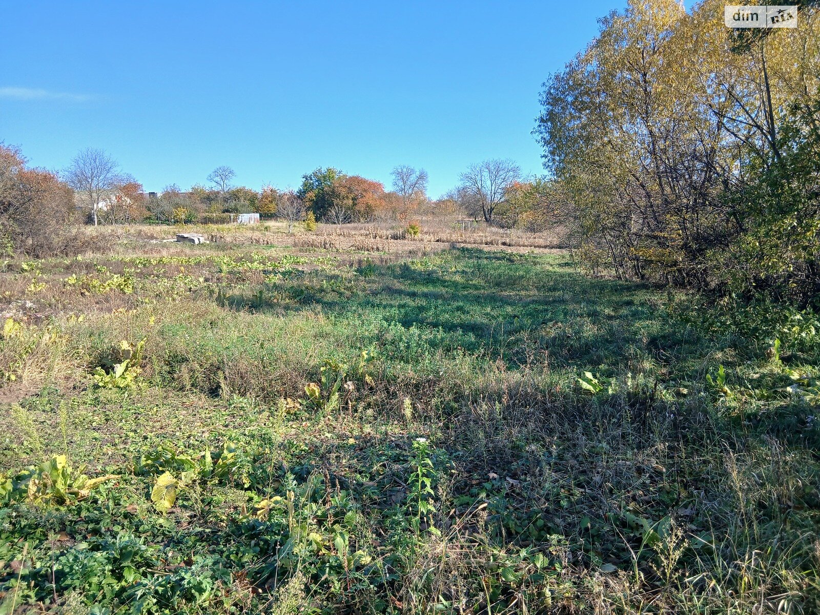 Земельный участок под жилую застройку в Зарванцах, площадь 20 соток фото 1