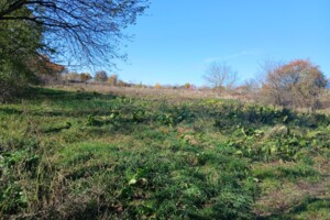 Земельный участок под жилую застройку в Зарванцах, площадь 20 соток фото 2