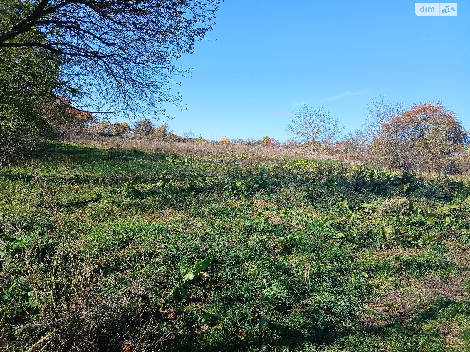 Земельный участок под жилую застройку в Зарванцах, площадь 20 соток фото 1