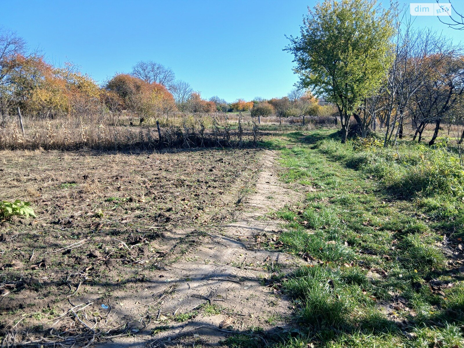 Земельный участок под жилую застройку в Зарванцах, площадь 20 соток фото 1