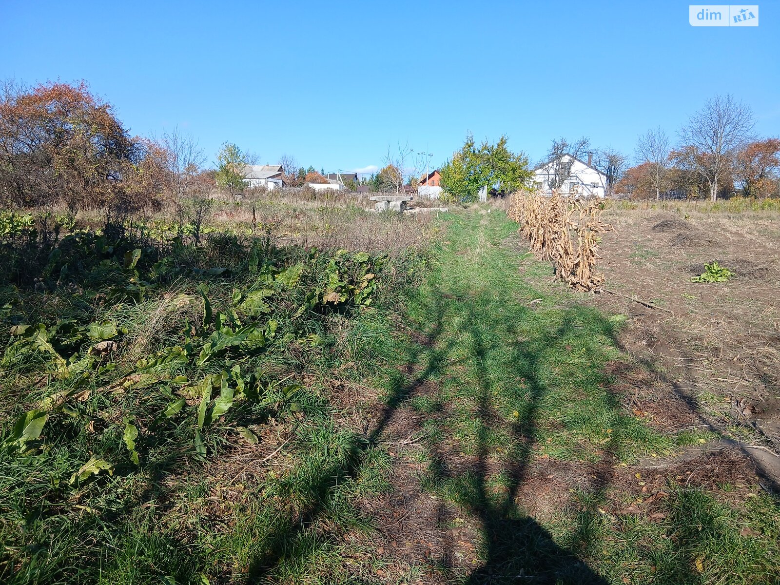 Земельный участок под жилую застройку в Зарванцах, площадь 20 соток фото 1
