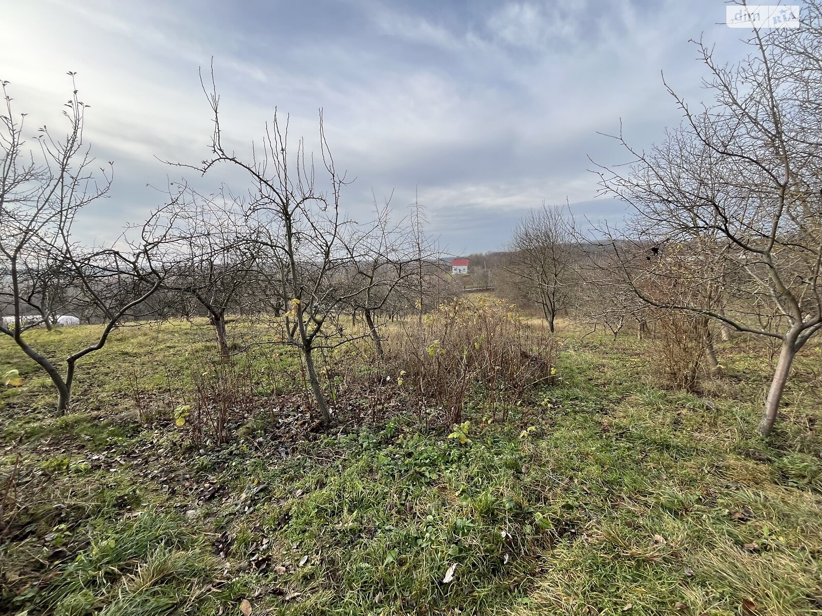 Земельный участок под жилую застройку в Зарванцах, площадь 60 соток фото 1