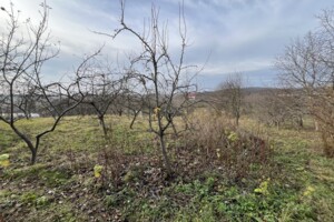 Земельный участок под жилую застройку в Зарванцах, площадь 60 соток фото 2