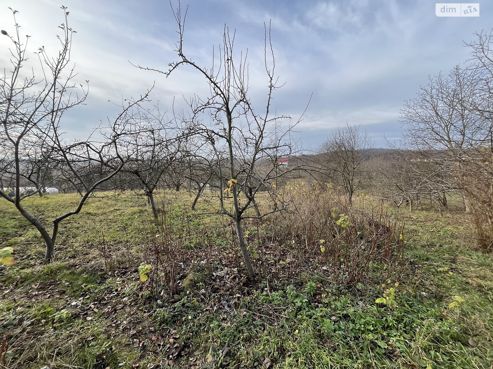 Земельный участок под жилую застройку в Зарванцах, площадь 60 соток фото 1