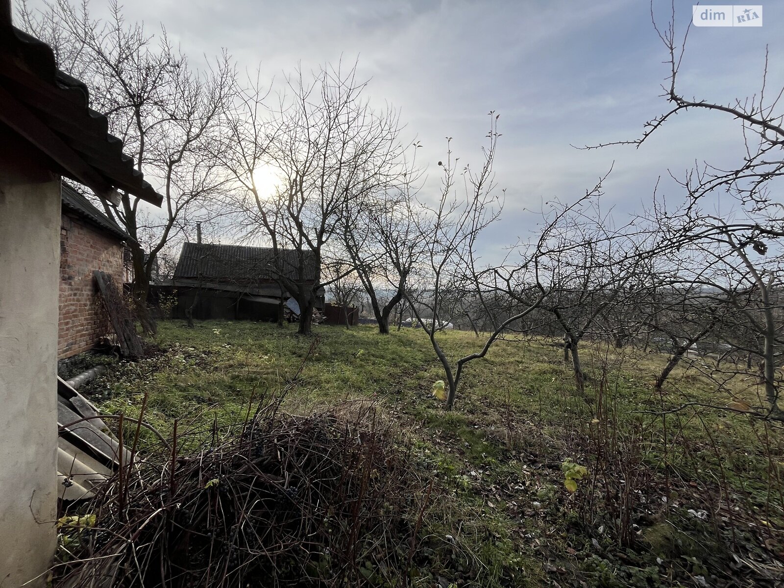 Земельный участок под жилую застройку в Зарванцах, площадь 60 соток фото 1