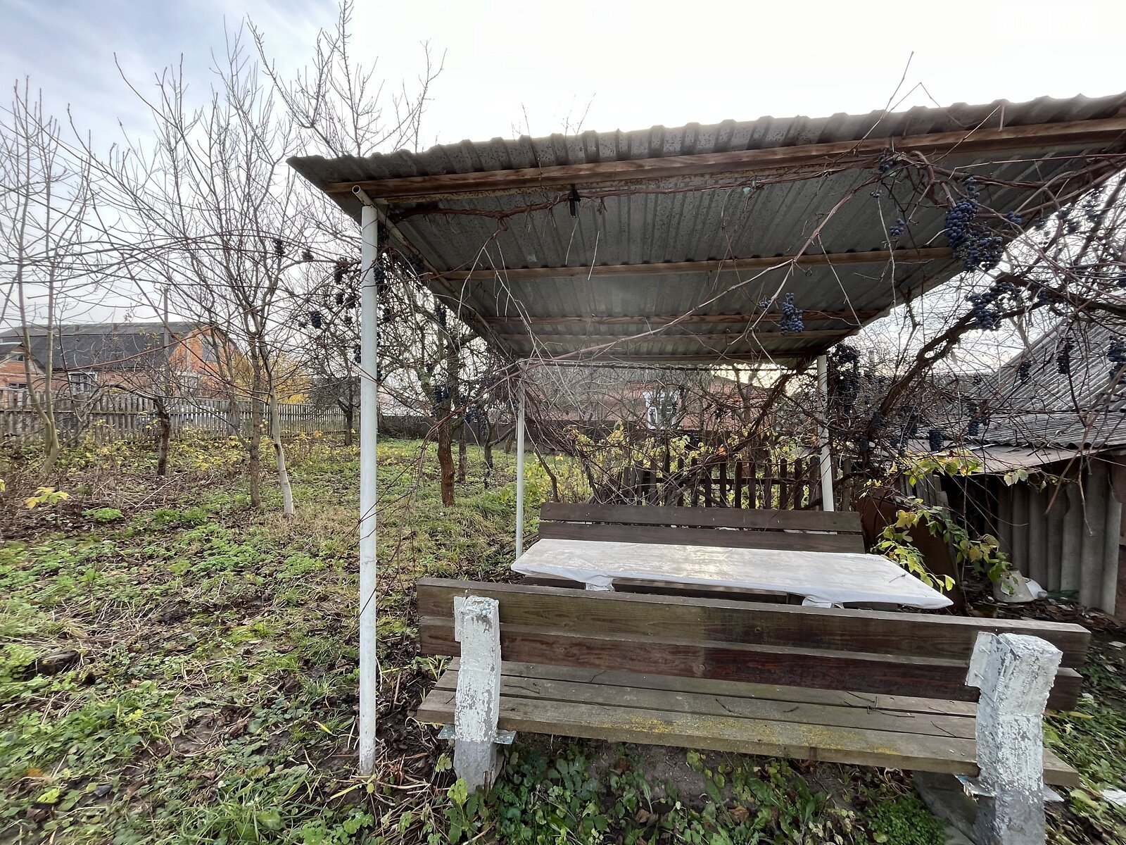 Земельный участок под жилую застройку в Зарванцах, площадь 60 соток фото 1