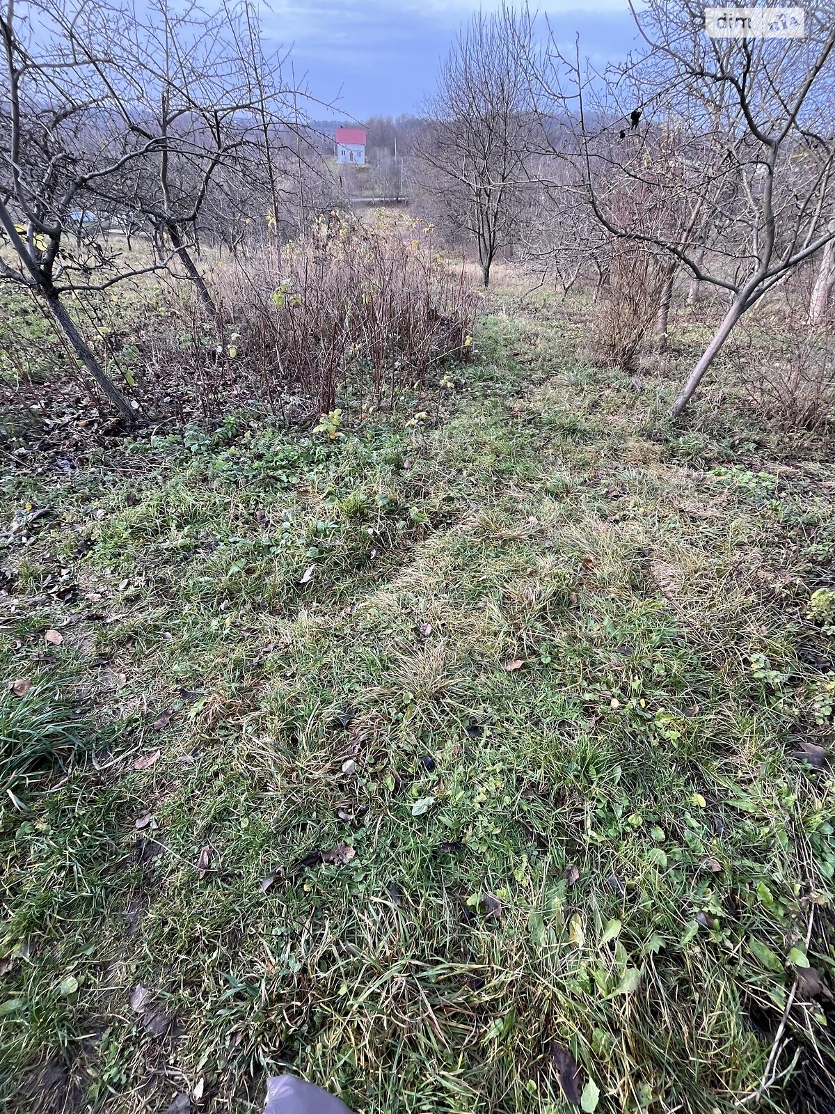 Земельный участок под жилую застройку в Зарванцах, площадь 60 соток фото 1