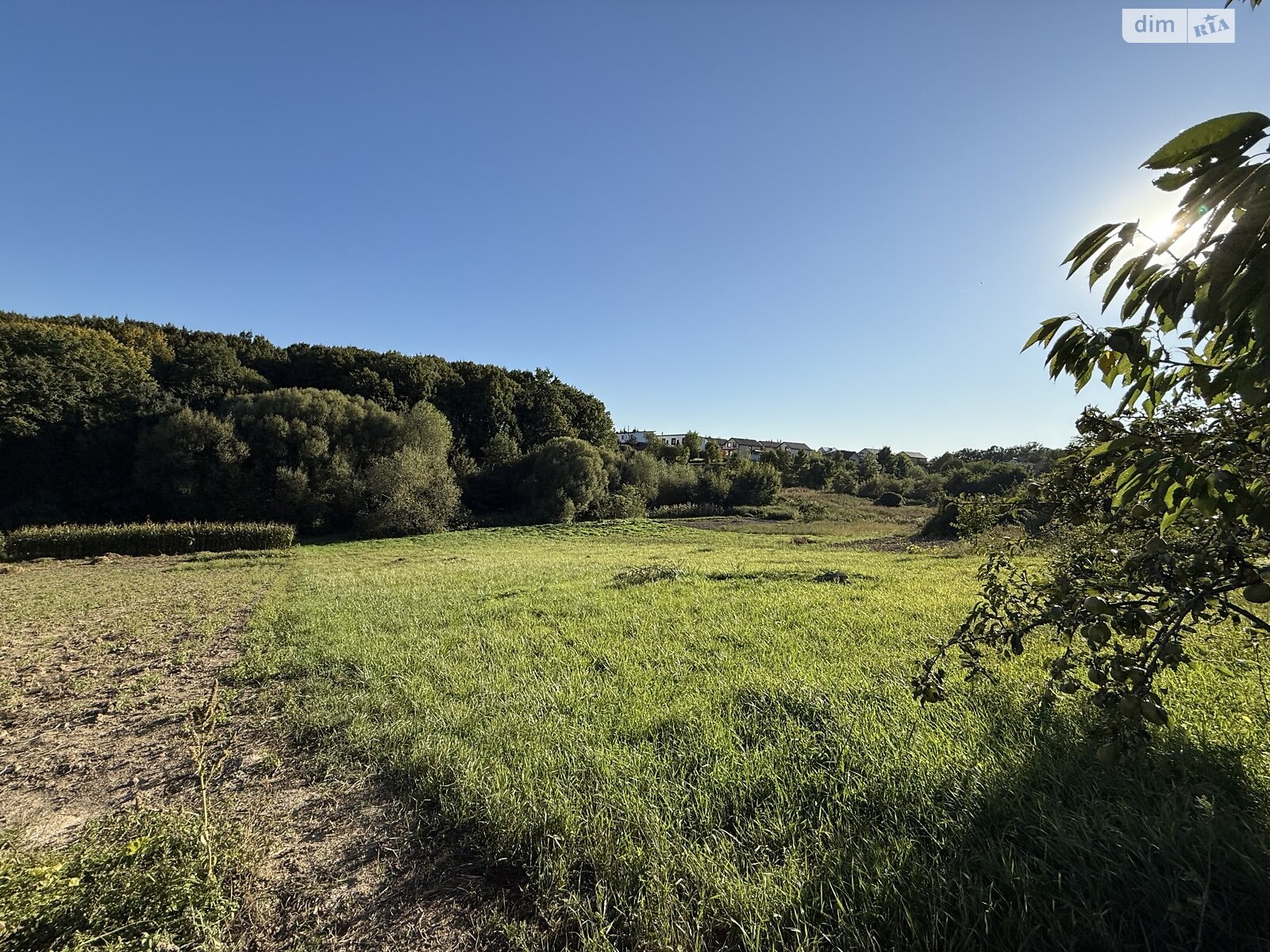 Земельный участок под жилую застройку в Зарванцах, площадь 19.2 сотки фото 1 Земельный участок под жилую застройку в Зарванцах, площадь 19.2 сотки фото 1