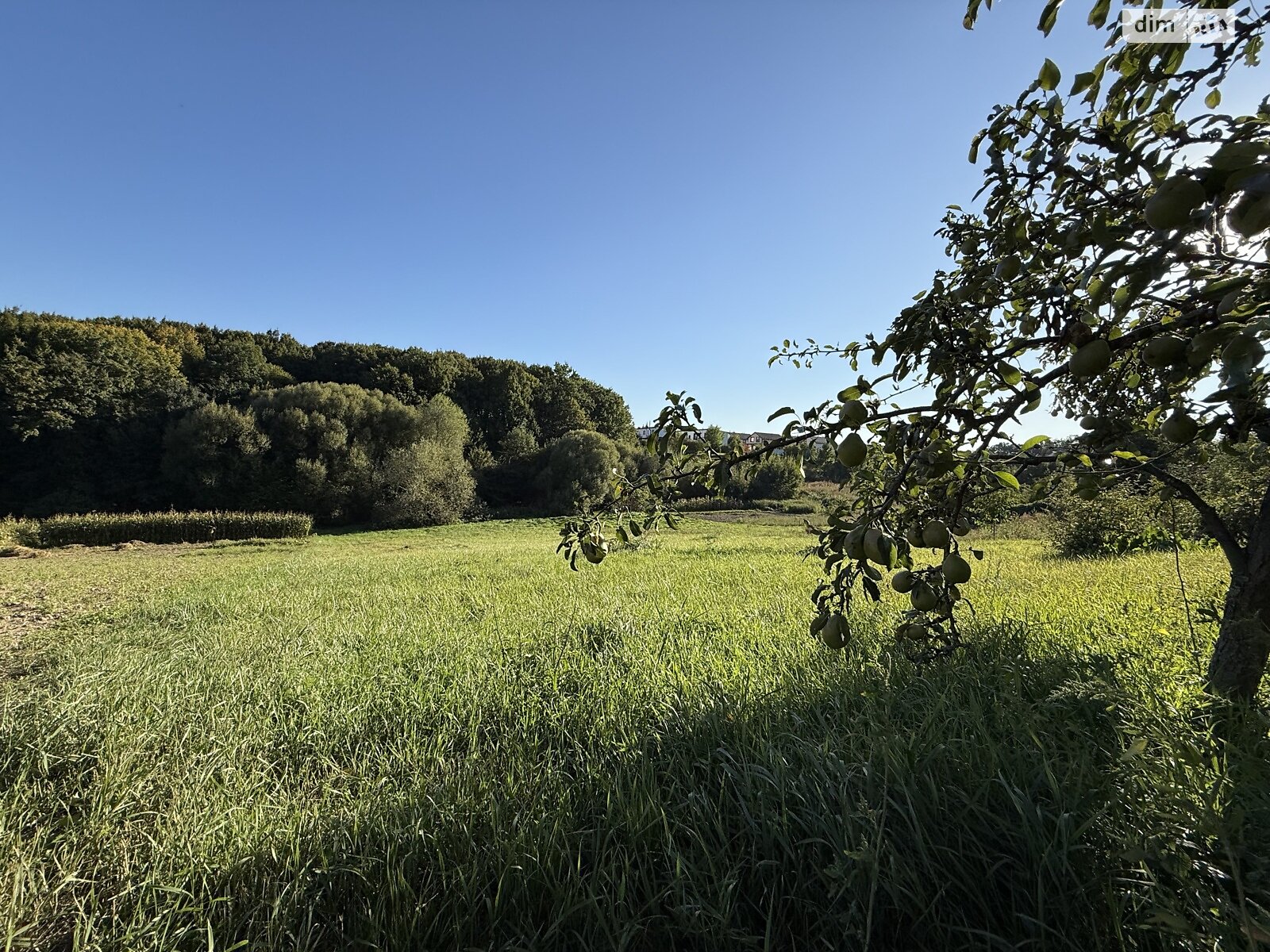 Земельный участок под жилую застройку в Зарванцах, площадь 19.2 сотки фото 1 Земельный участок под жилую застройку в Зарванцах, площадь 19.2 сотки фото 1
