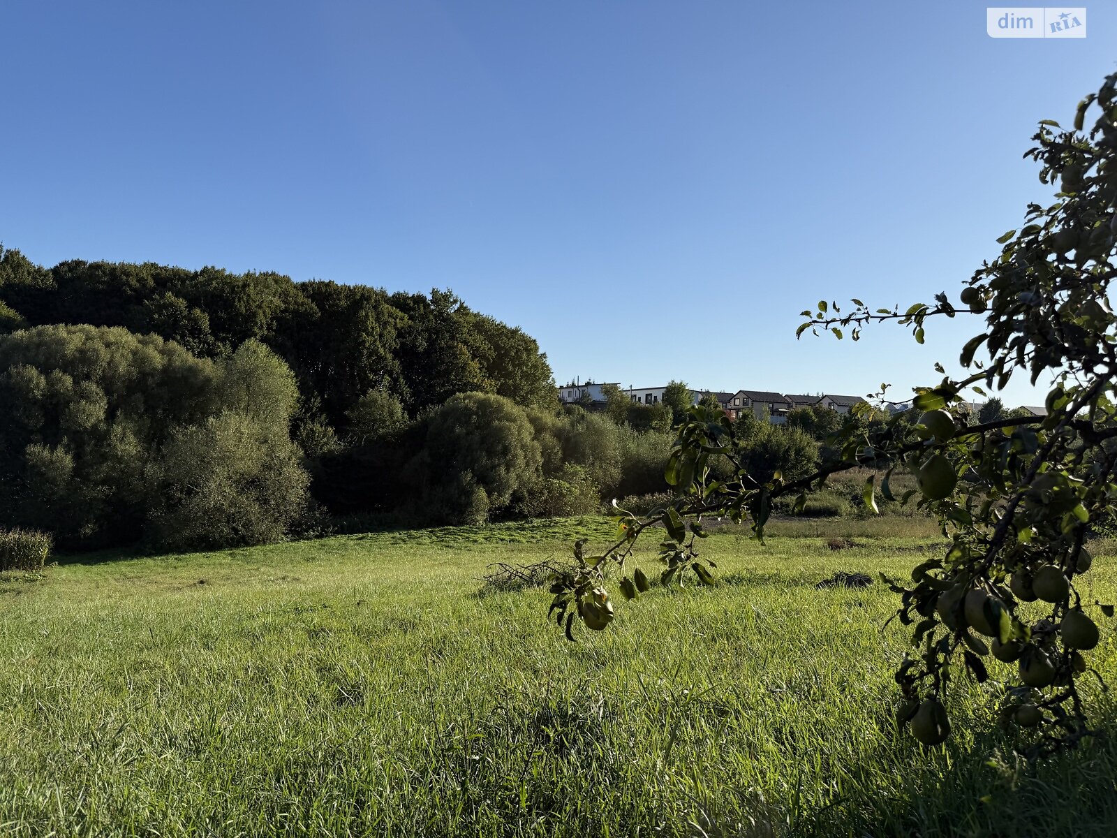 Земельный участок под жилую застройку в Зарванцах, площадь 19.2 сотки фото 1 Земельный участок под жилую застройку в Зарванцах, площадь 19.2 сотки фото 1