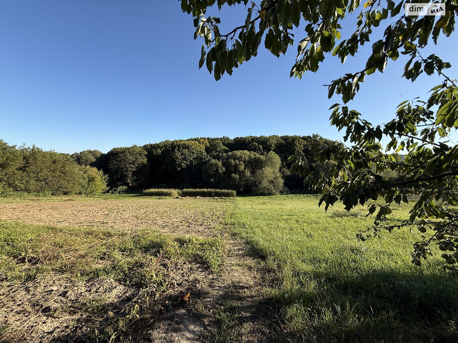 Земельный участок под жилую застройку в Зарванцах, площадь 19.2 сотки фото 1 Земельный участок под жилую застройку в Зарванцах, площадь 19.2 сотки фото 1