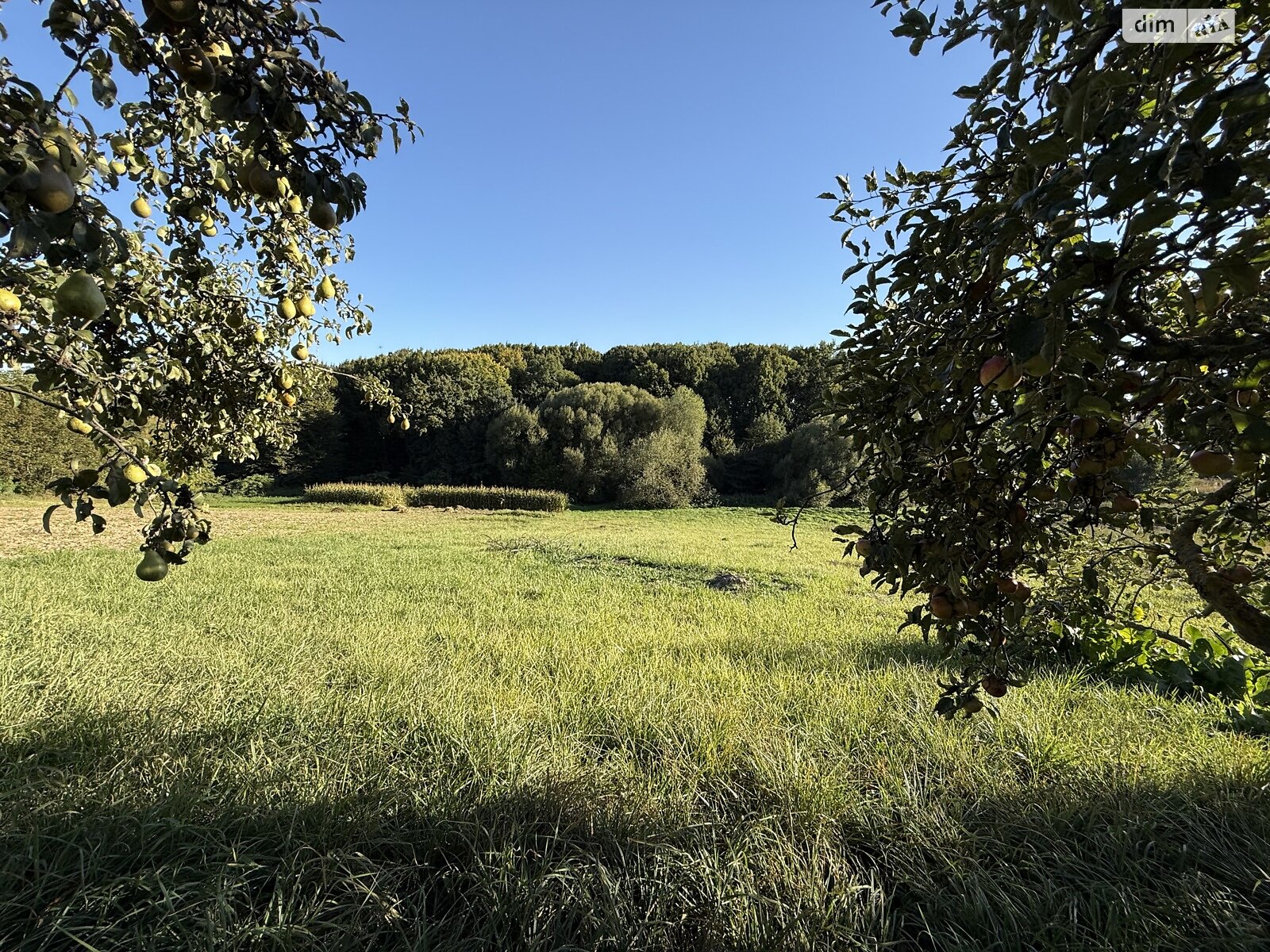 Земельный участок под жилую застройку в Зарванцах, площадь 19.2 сотки фото 1 Земельный участок под жилую застройку в Зарванцах, площадь 19.2 сотки фото 1