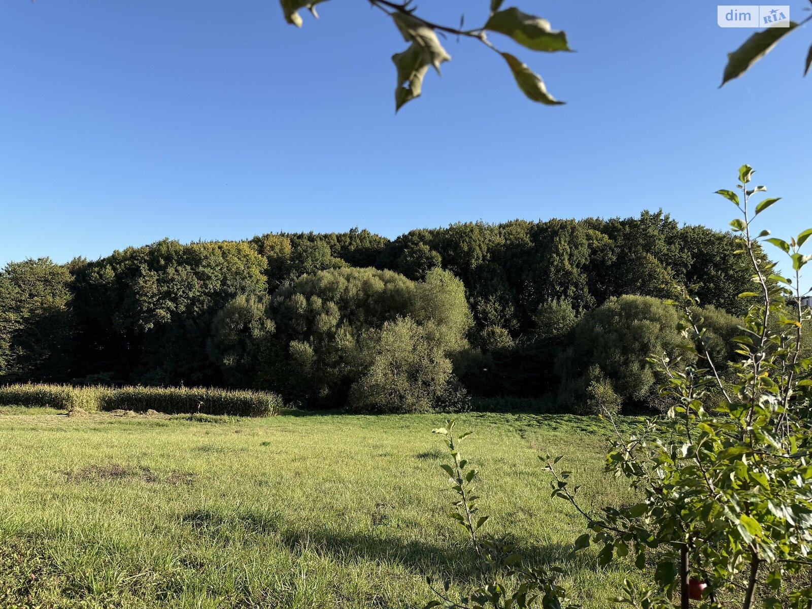Земельный участок под жилую застройку в Зарванцах, площадь 19.2 сотки фото 1 Земельный участок под жилую застройку в Зарванцах, площадь 19.2 сотки фото 1