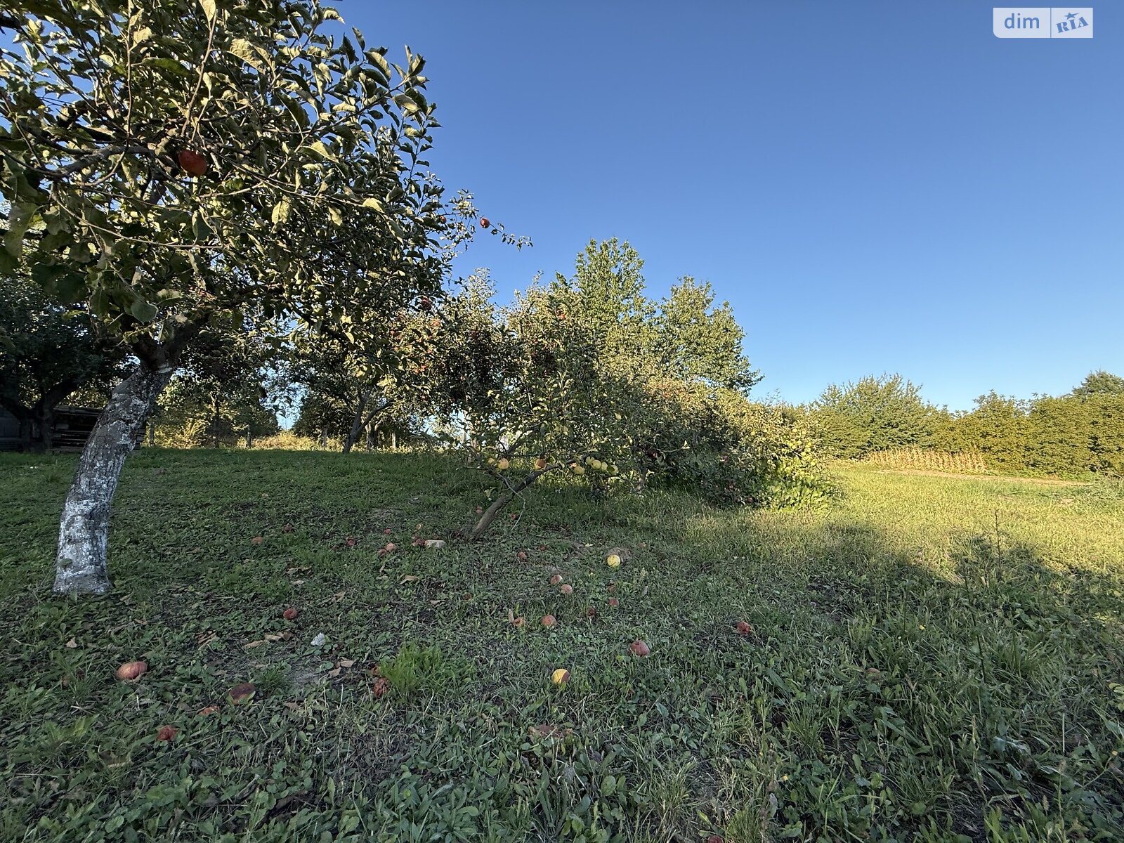 Земельный участок под жилую застройку в Зарванцах, площадь 19.2 сотки фото 1 Земельный участок под жилую застройку в Зарванцах, площадь 19.2 сотки фото 1