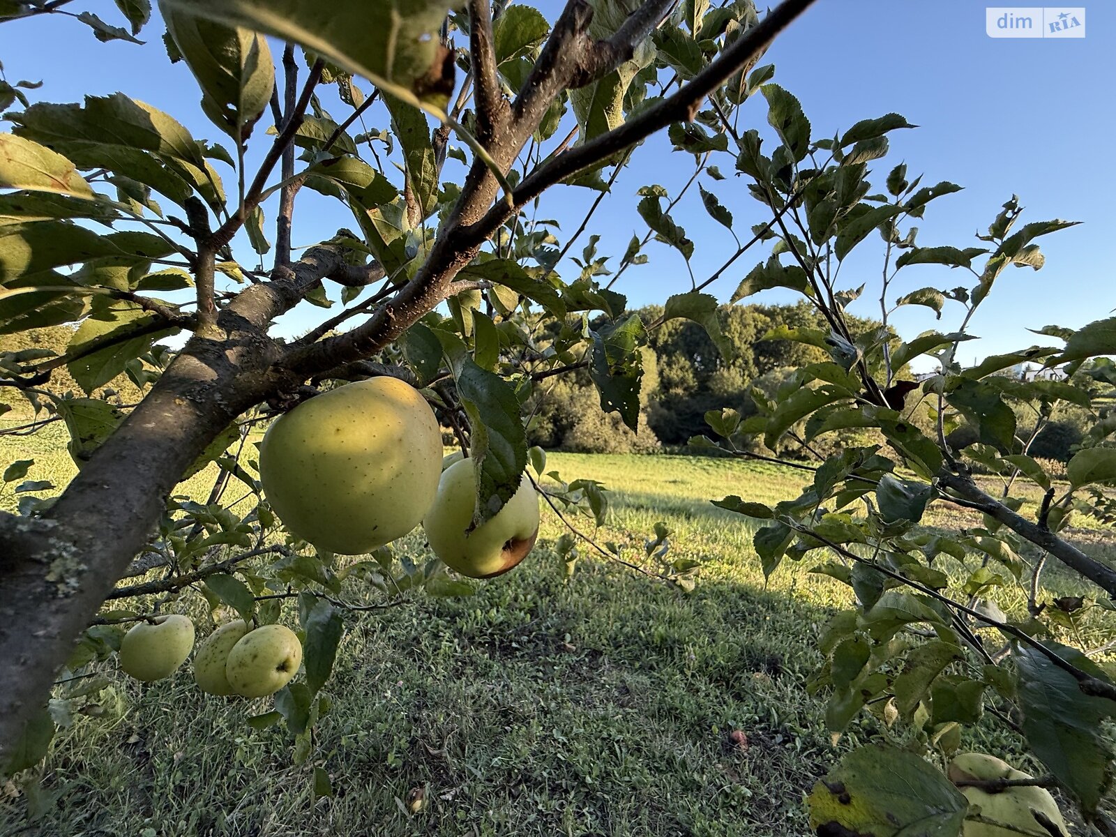Земельный участок под жилую застройку в Зарванцах, площадь 19.2 сотки фото 1 Земельный участок под жилую застройку в Зарванцах, площадь 19.2 сотки фото 1