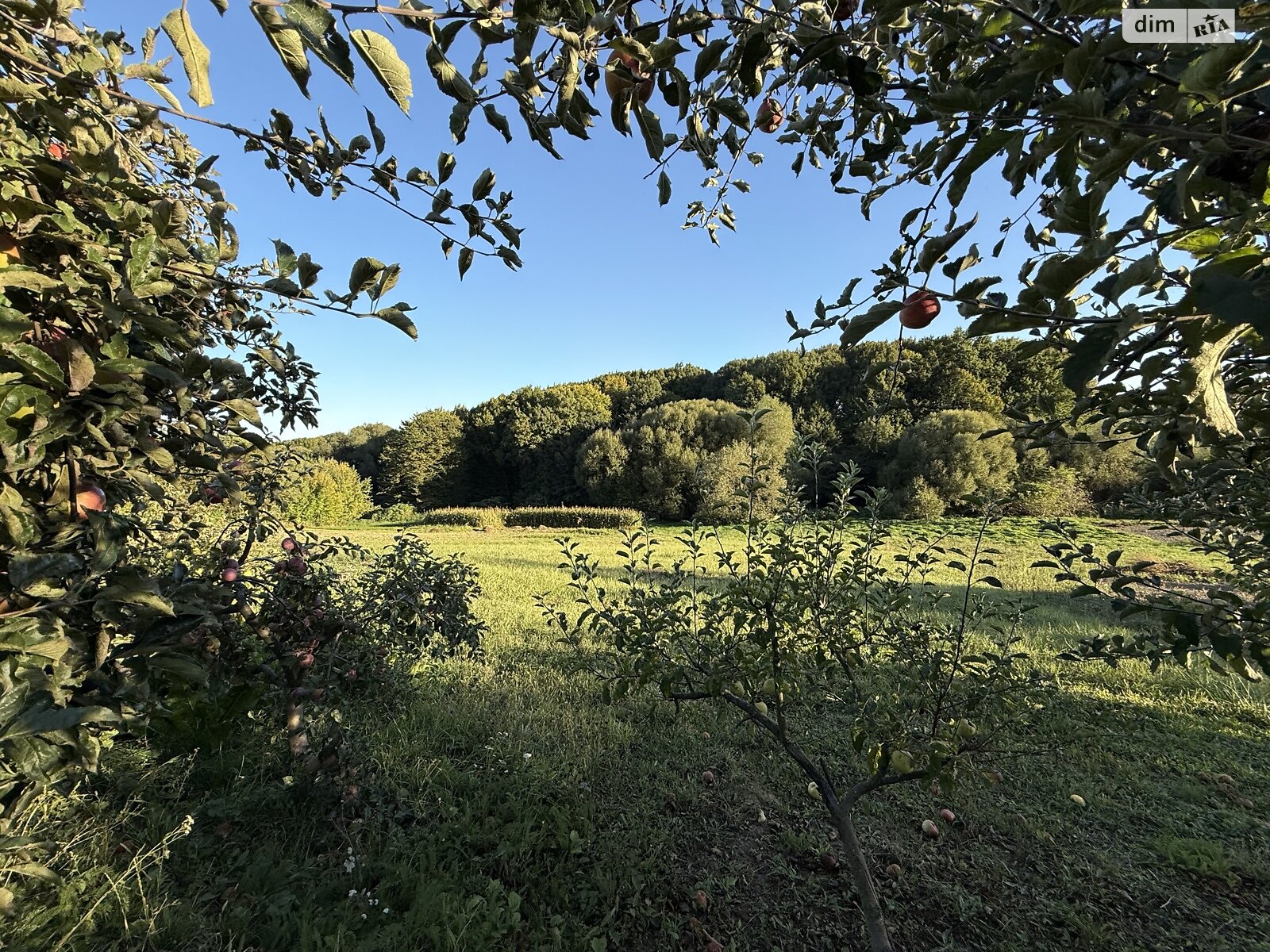 Земельный участок под жилую застройку в Зарванцах, площадь 19.2 сотки фото 1 Земельный участок под жилую застройку в Зарванцах, площадь 19.2 сотки фото 1