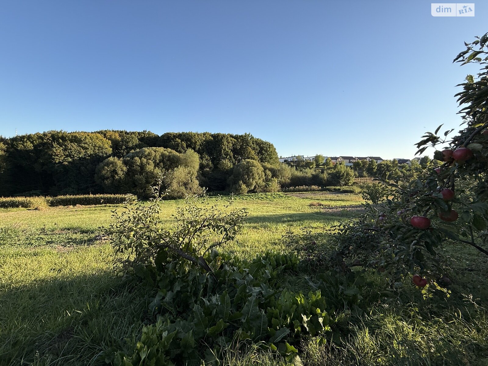 Земельный участок под жилую застройку в Зарванцах, площадь 19.2 сотки фото 1 Земельный участок под жилую застройку в Зарванцах, площадь 19.2 сотки фото 1