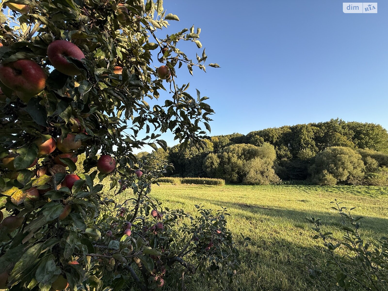 Земельный участок под жилую застройку в Зарванцах, площадь 19.2 сотки фото 1 Земельный участок под жилую застройку в Зарванцах, площадь 19.2 сотки фото 1