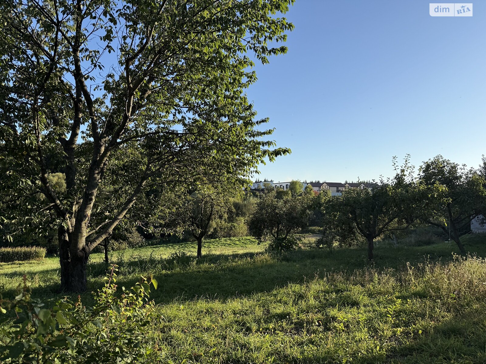 Земельный участок под жилую застройку в Зарванцах, площадь 19.2 сотки фото 1 Земельный участок под жилую застройку в Зарванцах, площадь 19.2 сотки фото 1