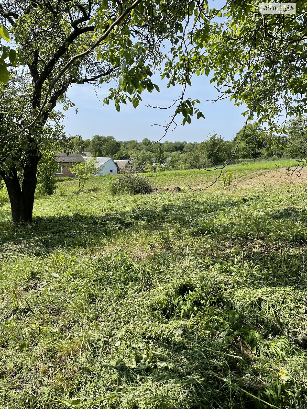 Земельна ділянка під житлову забудову в Зарванцях, площа 36 соток фото 1 Земельна ділянка під житлову забудову в Зарванцях, площа 36 соток фото 1