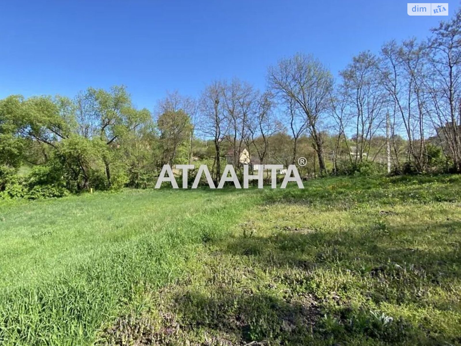 Земельна ділянка під житлову забудову в Зарванцях, площа 31 сотка фото 1 Земельна ділянка під житлову забудову в Зарванцях, площа 31 сотка фото 1