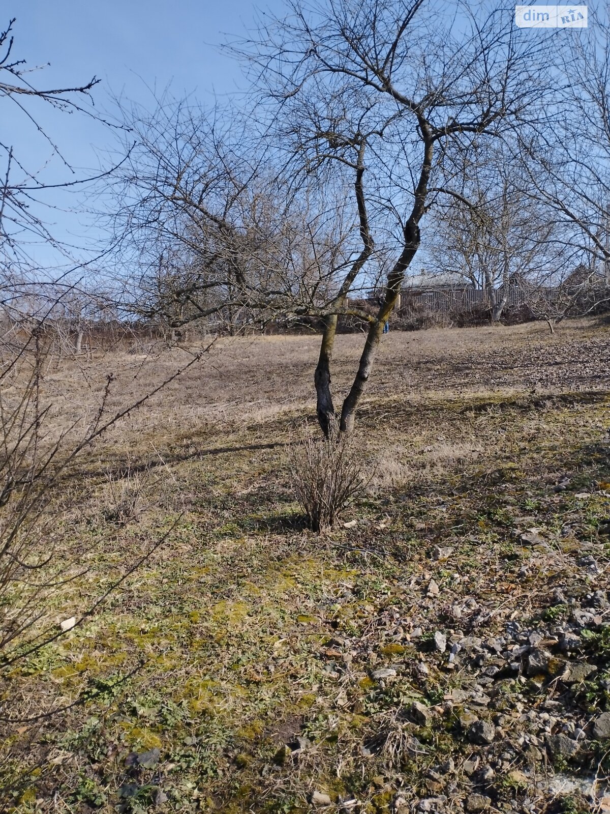Земельна ділянка під житлову забудову в Зарванцях, площа 14 соток фото 1 Земельна ділянка під житлову забудову в Зарванцях, площа 14 соток фото 1