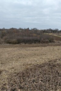 Земельна ділянка під житлову забудову в Зарванцях, площа 52 сотки фото 2