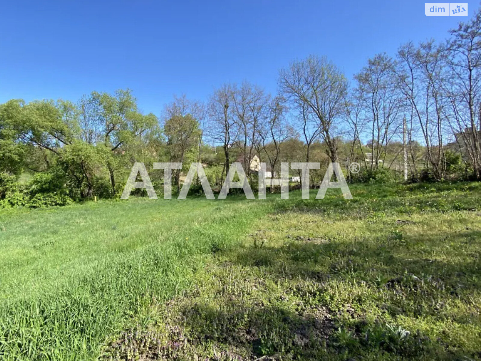 Земельна ділянка під житлову забудову в Зарванцях, площа 31 сотка фото 1 Земельна ділянка під житлову забудову в Зарванцях, площа 31 сотка фото 1