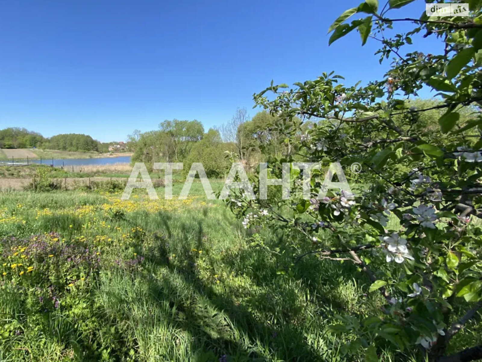 Земельна ділянка під житлову забудову в Зарванцях, площа 31 сотка фото 1 Земельна ділянка під житлову забудову в Зарванцях, площа 31 сотка фото 1