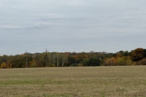 Земельный участок под жилую застройку в Зарванцах, площадь 186 соток фото 2