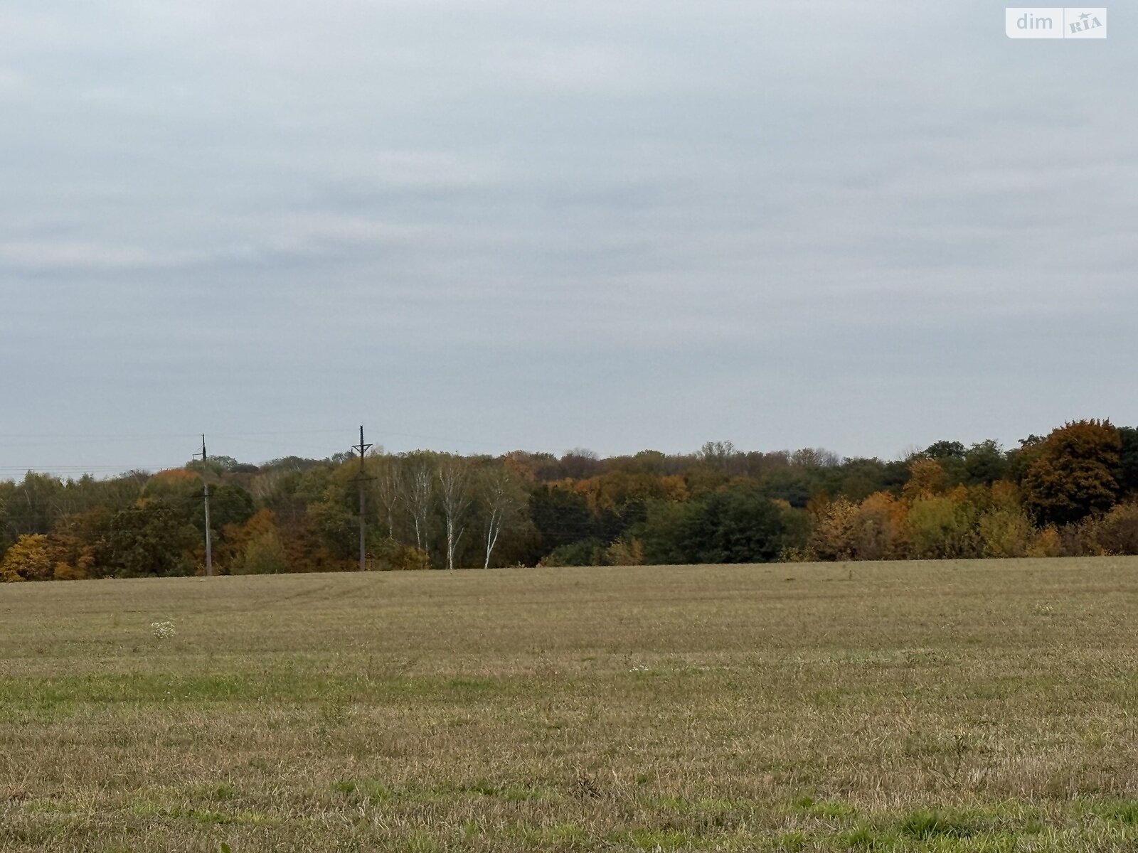 Земельный участок под жилую застройку в Зарванцах, площадь 186 соток фото 1