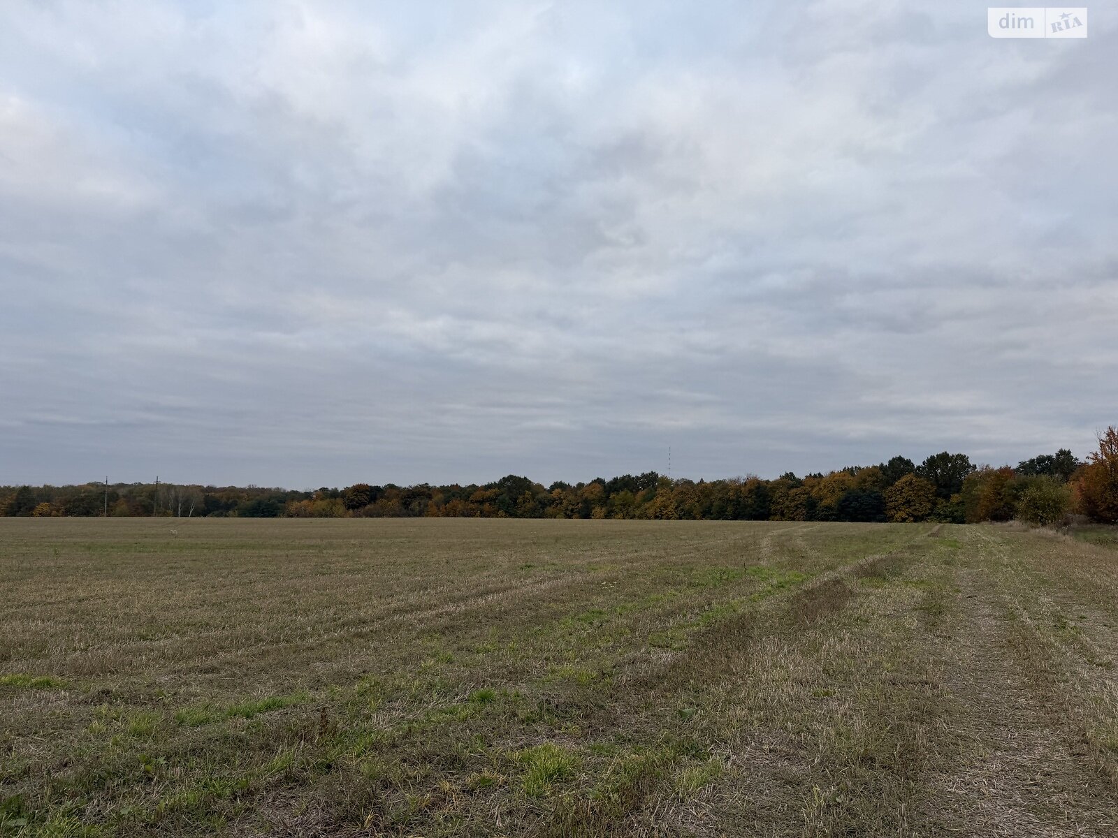 Земельный участок под жилую застройку в Зарванцах, площадь 186 соток фото 1