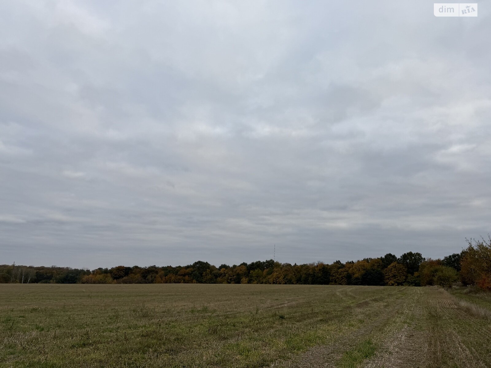 Земельный участок под жилую застройку в Зарванцах, площадь 186 соток фото 1