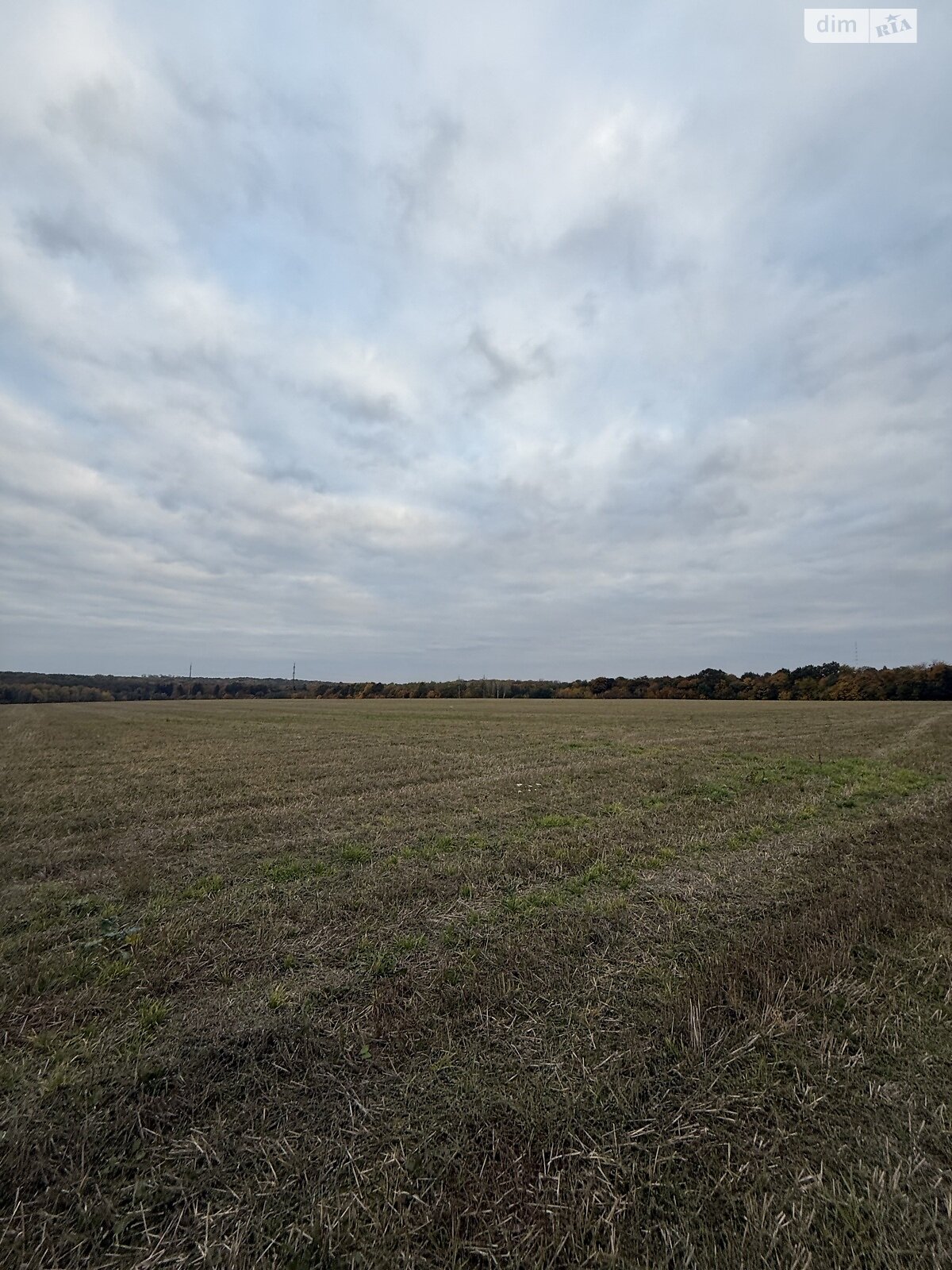 Земельный участок под жилую застройку в Зарванцах, площадь 186 соток фото 1