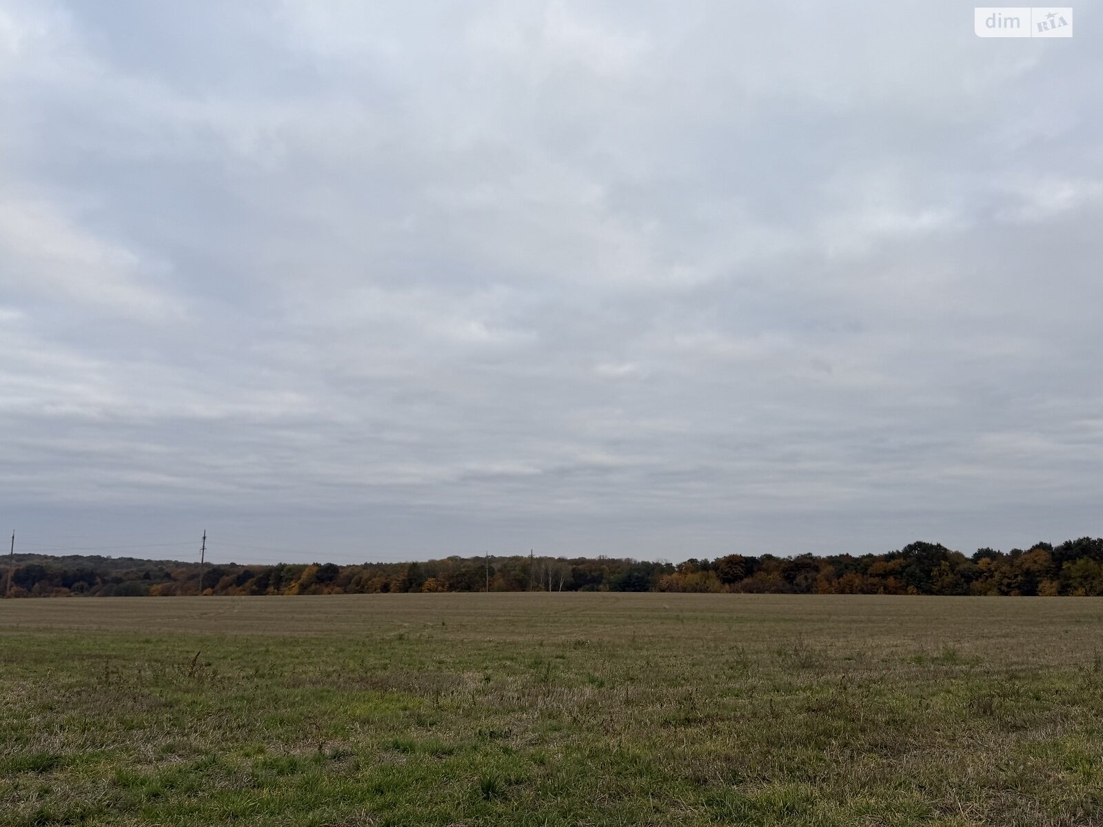 Земельный участок под жилую застройку в Зарванцах, площадь 186 соток фото 1