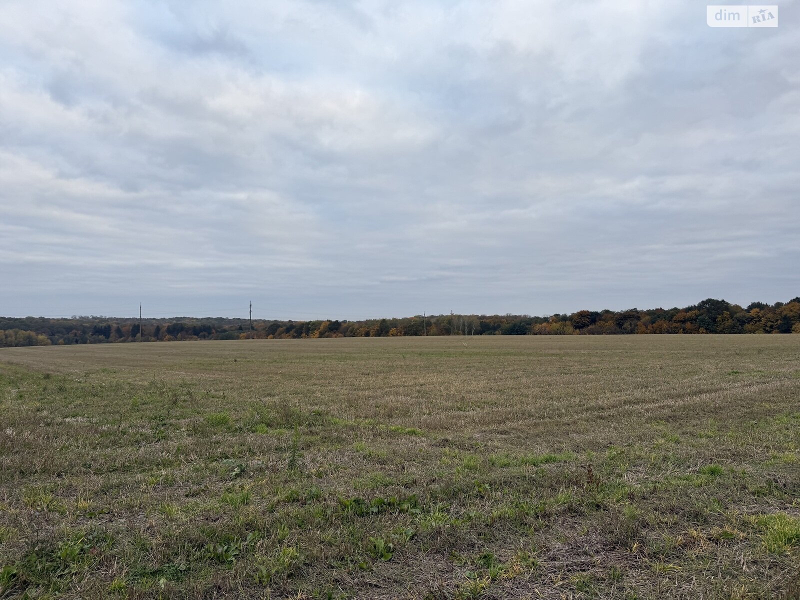 Земельный участок под жилую застройку в Зарванцах, площадь 186 соток фото 1