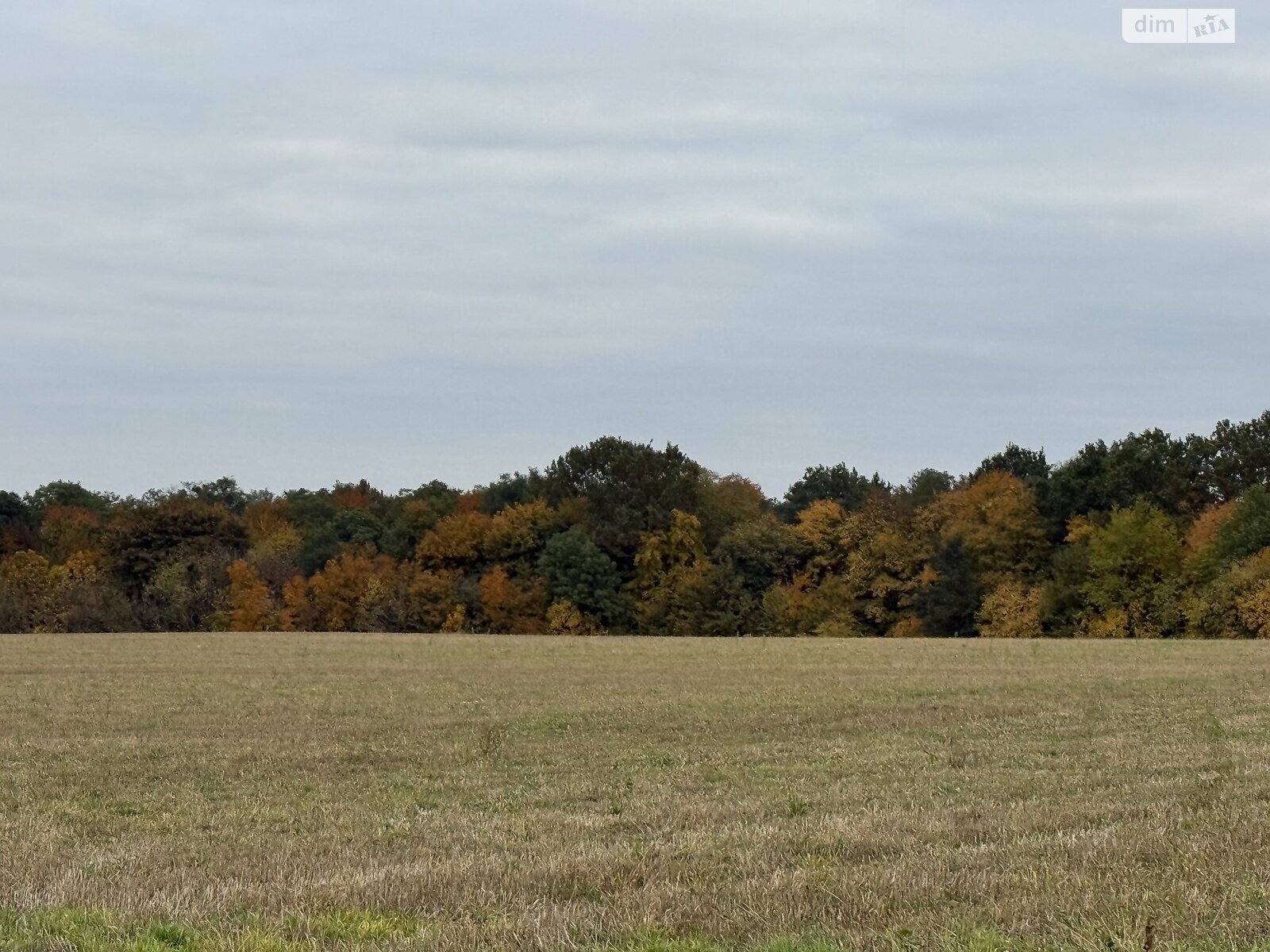 Земельный участок под жилую застройку в Зарванцах, площадь 186 соток фото 1