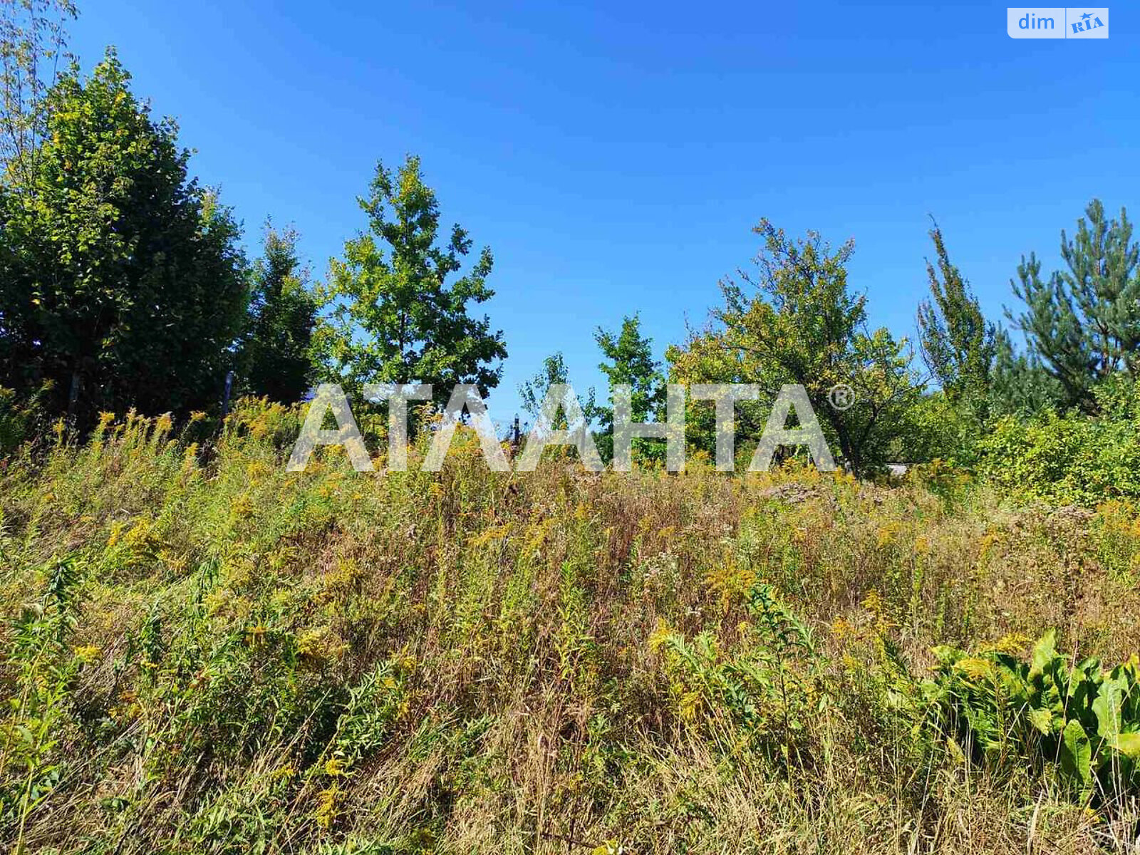 Земельный участок под жилую застройку в Зарванцах, площадь 6.03 сотки фото 1