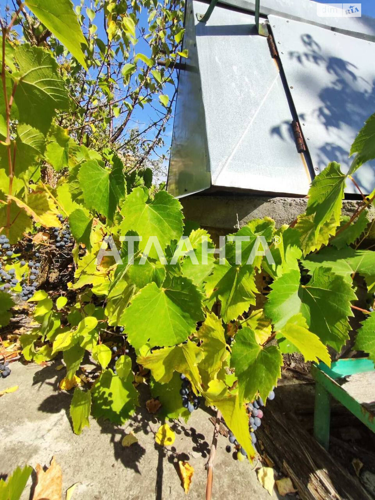 Земельный участок под жилую застройку в Зарванцах, площадь 6.03 сотки фото 1