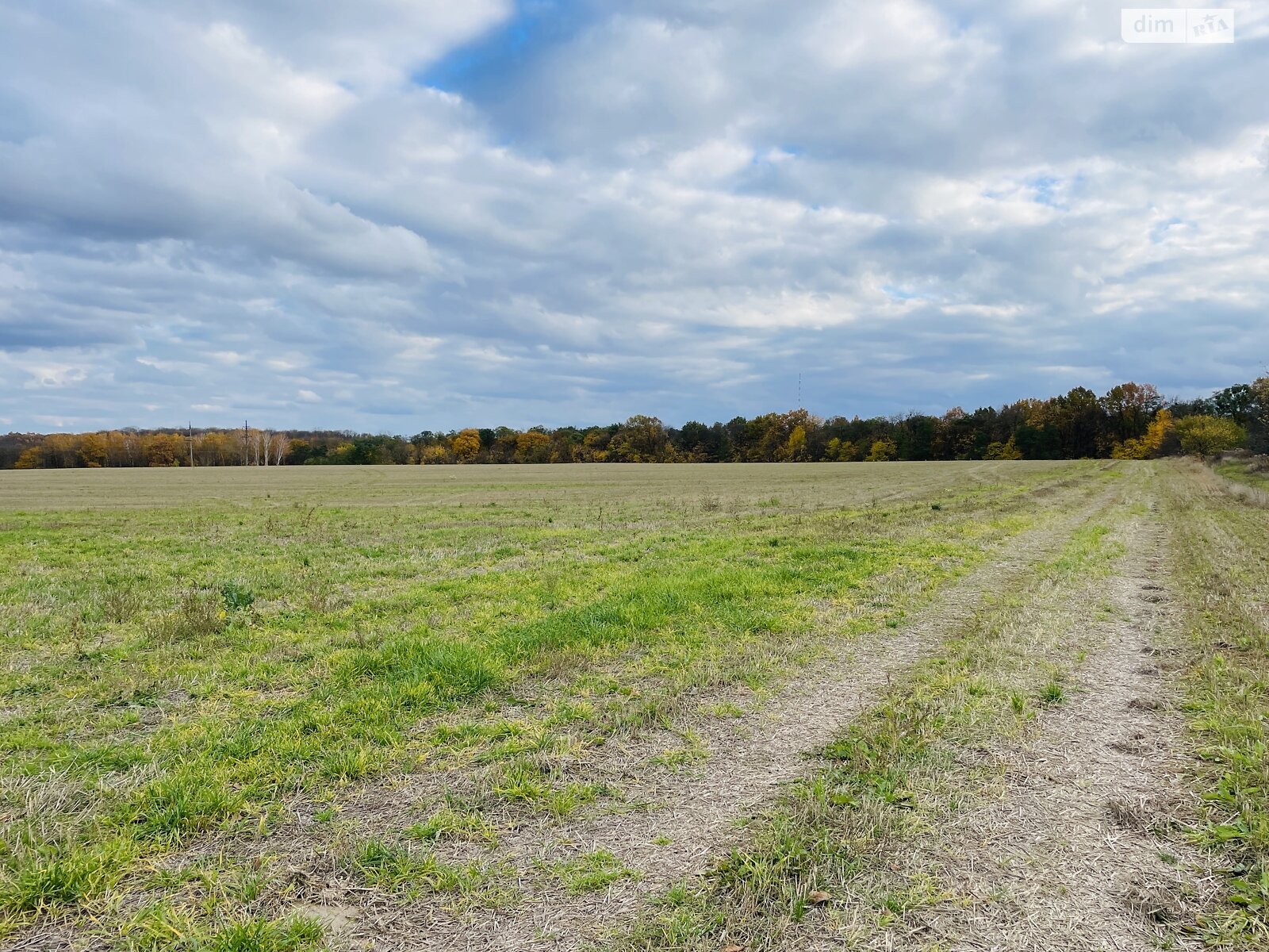 Земельный участок под жилую застройку в Зарванцах, площадь 1.86 Га фото 1 Земельный участок под жилую застройку в Зарванцах, площадь 1.86 Га фото 1
