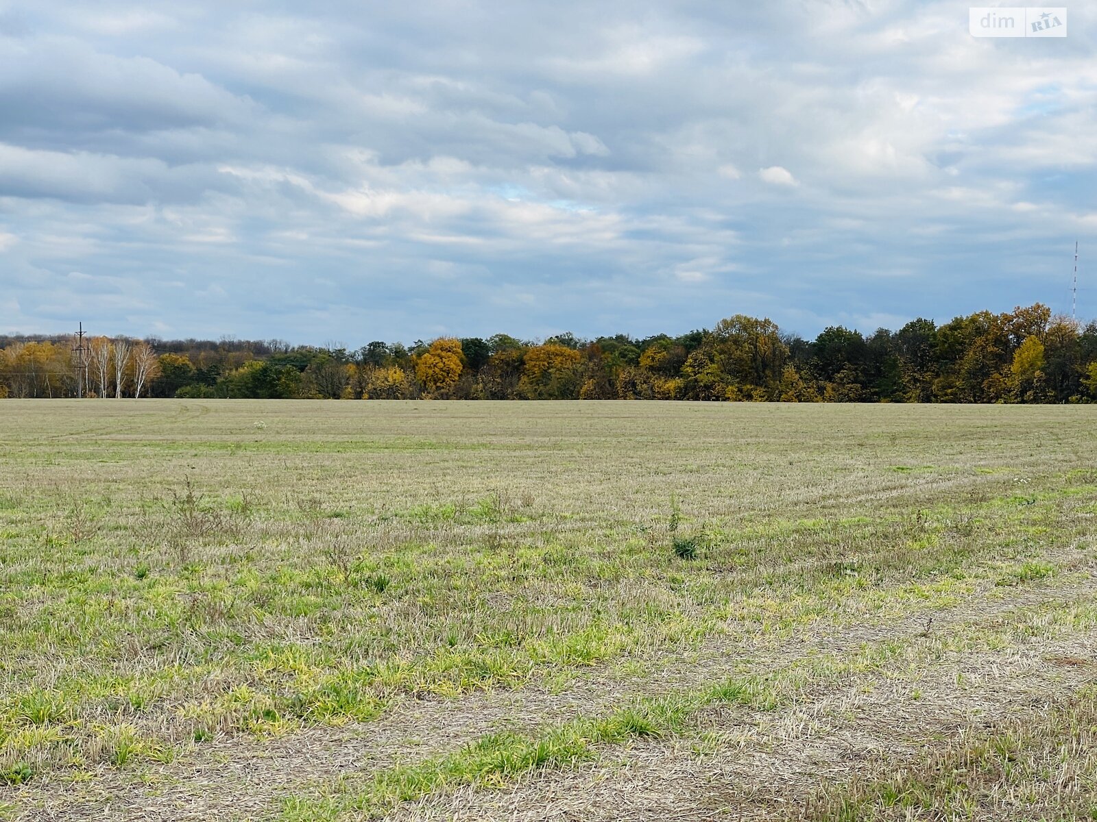 Земельный участок под жилую застройку в Зарванцах, площадь 1.86 Га фото 1 Земельный участок под жилую застройку в Зарванцах, площадь 1.86 Га фото 1