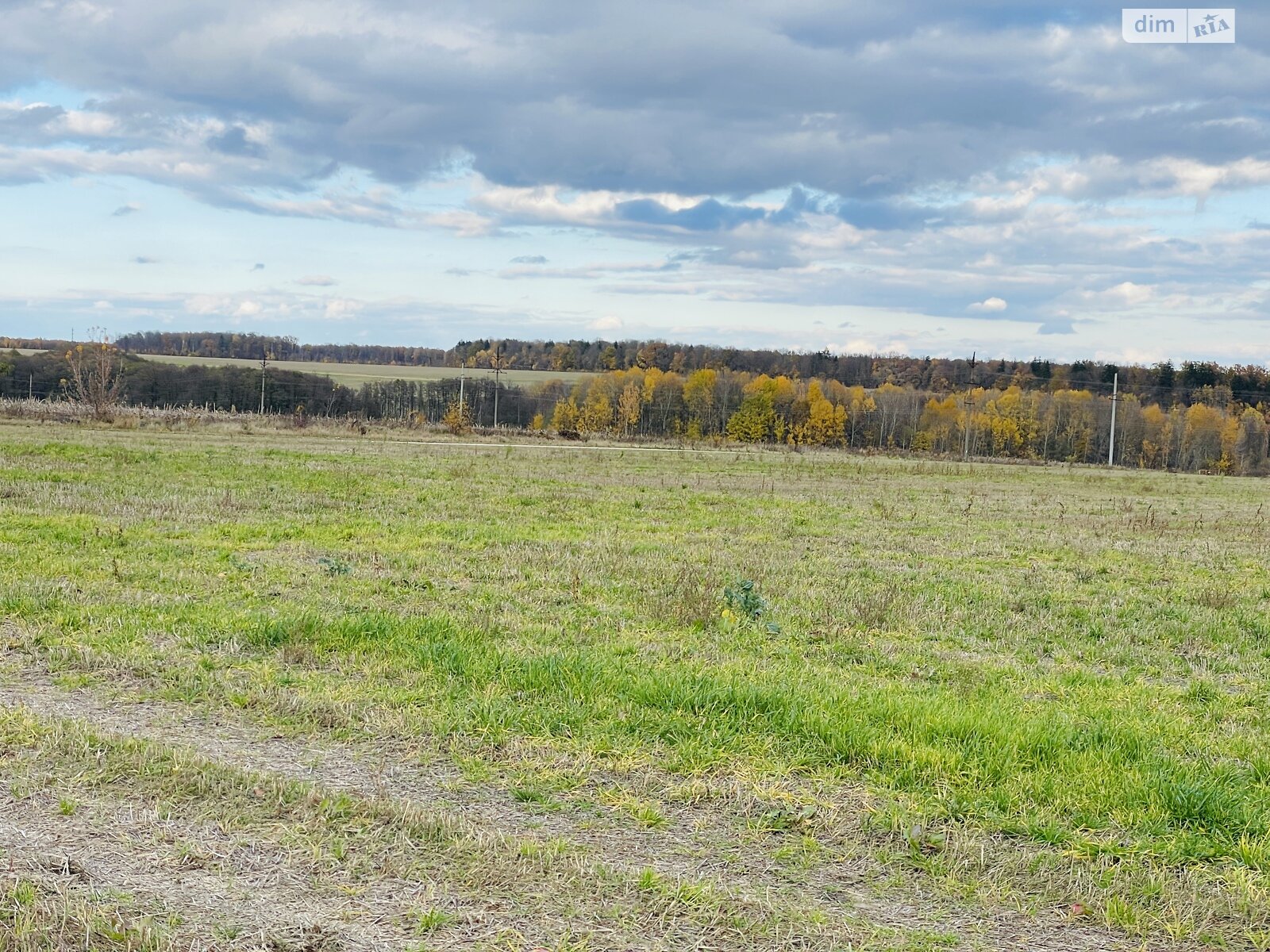 Земельный участок под жилую застройку в Зарванцах, площадь 1.86 Га фото 1 Земельный участок под жилую застройку в Зарванцах, площадь 1.86 Га фото 1