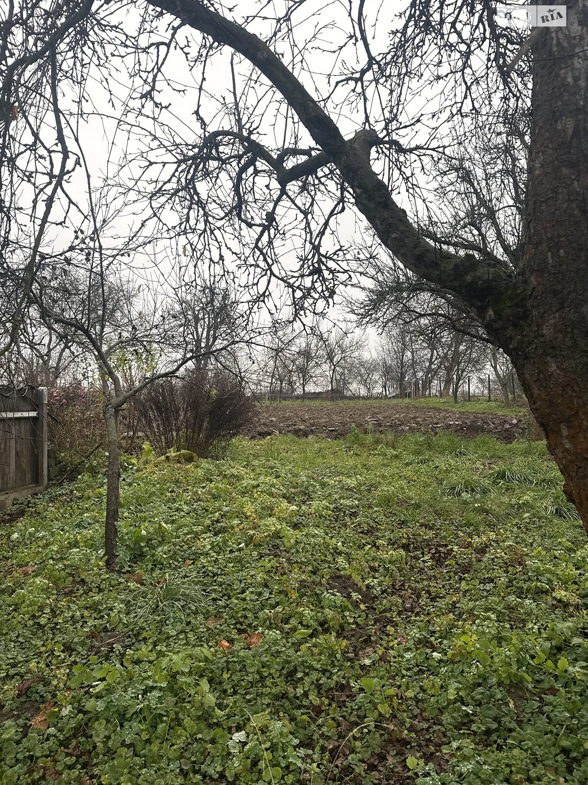 Земельный участок под жилую застройку в Зарванцах, площадь 23 сотки фото 1 Земельный участок под жилую застройку в Зарванцах, площадь 23 сотки фото 1